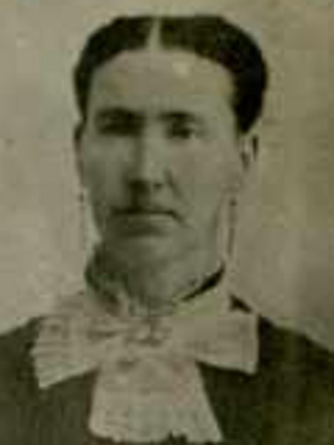 Elizabeth Jane Stephens (1845 - 1906) Profile